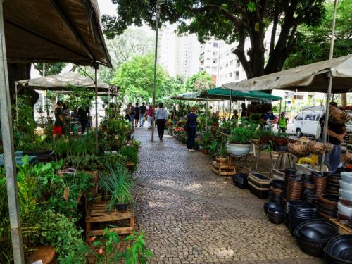 Um corredor em uma feira de plantas e flores ao ar livre. O caminho é de paralelepípedo, e de cada lado há barracas com lonas brancas e verdes que abrigam os vendedores e seus produtos. À esquerda, as bancas estão cheias de plantas verdes em vasos, incluindo folhagens e pequenas hortaliças. À direita, há uma grande quantidade de vasos de cerâmica e baldes de diferentes tamanhos e cores, empilhados. Pessoas caminham pelo corredor, e ao fundo, é possível ver um edifício alto e árvores com folhagem densa.