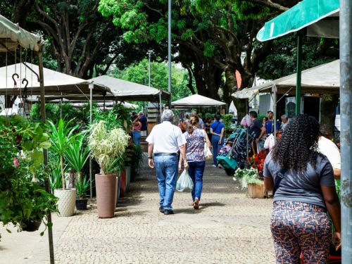 Uma feira de plantas e flores ao ar livre em um dia claro. Em primeiro plano, uma mulher de costas com cabelos cacheados e calça estampada caminha à direita, em direção às barracas. No centro da cena, um casal de idosos caminha pelo corredor de paralelepípedos. Ele usa uma camisa branca e calça jeans, e ela veste uma blusa florida. Em ambos os lados do caminho, há bancas com barracas brancas, cheias de vasos de plantas e flores.