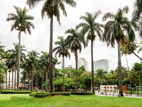 Uma vasta área verde de grama, com muitas palmeiras altas e esguias se destacando contra um céu claro. À direita, entre as árvores, um brinquedo de parque infantil com estruturas coloridas, cercado por um pequeno muro branco. Ao fundo, edifícios altos de cor clara e uma faixa de nuvens.