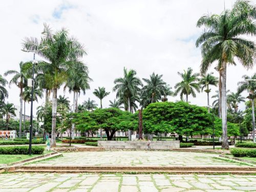 Um palco de cimento com três degraus é visto em primeiro plano, com um chão de lajes de pedra irregulares à frente. Um homem está sentado na base do palco. Ao fundo, muitas palmeiras altas e várias árvores de copa densa e arredondada se espalham pela praça, sob um céu claro com poucas nuvens.