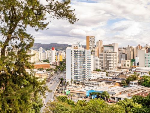 Vista panorâmica da cidade com prédios altos. No primeiro plano, árvores e galhos encobrem parcialmente a cena. Avenida larga com carros corta o cenário.