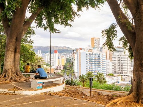 Duas pessoas sentadas em bancos de concreto sob árvores grandes, olhando para prédios altos ao fundo. Raízes expostas das árvores ocupam parte do chão.