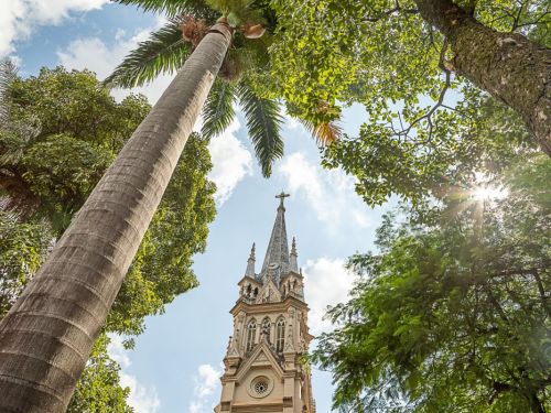 Uma vista de baixo para cima da alta torre da Igreja de Nossa Senhora da Boa Viagem, uma construção de estilo gótico. A torre pontiaguda tem janelas e detalhes arquitetônicos delicados. Ela está emoldurada por folhagens verdes e troncos de árvores, incluindo uma palmeira imperial com o tronco listrado, no lado esquerdo. O céu é azul com nuvens brancas, e a luz do sol brilha através das folhas.