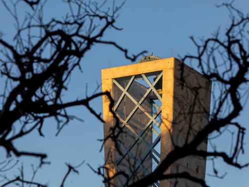 A torre sineira de concreto da Igreja de São Francisco de Assis, iluminada pela luz do sol da tarde. A torre, de forma quadrada, tem um lado dourado e o outro na sombra. No primeiro plano, galhos escuros e sem folhas de uma árvore criam uma silhueta contra o céu azul claro.