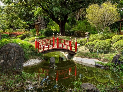 O Jardim Japonês em BH, com uma ponte vermelha arqueada refletida em um lago tranquilo. Ao redor, há arbustos podados, árvores verdes e rochas, além de uma construção tradicional ao fundo, criando um ambiente sereno e harmonioso típico da cultura japonesa.