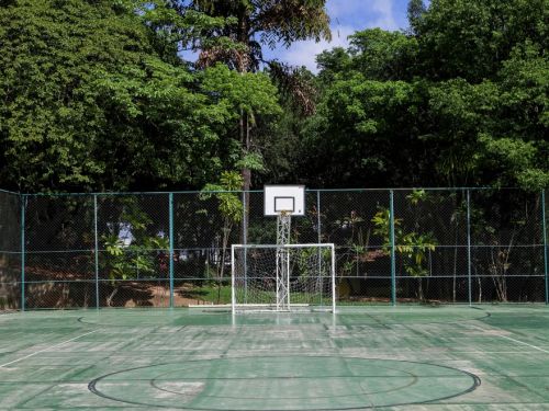 Quadra poliesportiva com piso verde e marcações circulares no chão. No centro, há uma trave de futebol e, acima dela, uma tabela de basquete. Ao fundo, árvores e cercas de proteção.