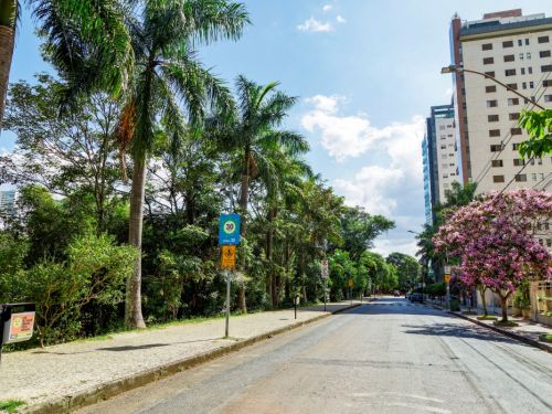 Uma rua de asfalto em perspectiva, com uma calçada de pedras portuguesas e uma fileira de palmeiras altas à esquerda. À direita, uma árvore com flores cor-de-rosa se destaca em frente a um prédio alto e moderno. O céu é azul com algumas nuvens brancas, indicando um dia ensolarado.