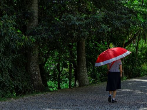 Uma pessoa, vista de costas, caminha por uma calçada de pedras portuguesas segurando um grande guarda-chuva aberto, nas cores vermelho e branco. À esquerda da pessoa, uma área de mata muito densa e escura, com troncos de árvores grossos e folhagem fechada que projeta uma sombra profunda.