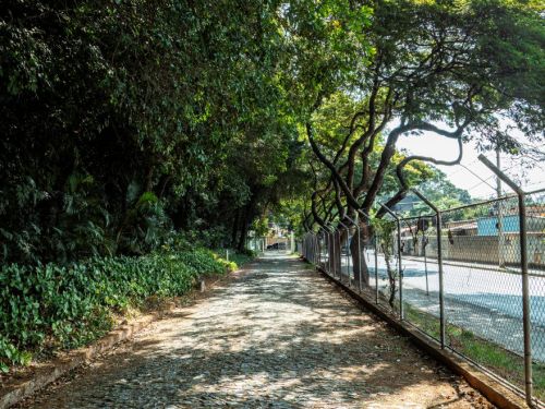 Caminho de pedras irregulares segue em linha reta, ladeado por vegetação densa à esquerda e por uma cerca de arame à direita. Árvores altas formam sombra sobre a trilha, enquanto, além da cerca, vê-se a rua e construções. A luz do sol atravessa as copas, criando contrastes no chão.
