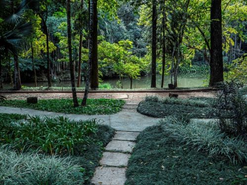 Caminho estreito de pedras claras corta um jardim com grama densa e arbustos arredondados. Árvores altas e finas se erguem à frente, com folhas verdes filtrando a luz. Ao fundo, vê-se um lago calmo rodeado por vegetação, refletindo o verde das árvores.