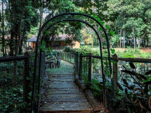 Uma ponte estreita de madeira, com um arco de plantas que se entrelaçam acima, formando um túnel natural. O caminho é de pedras redondas, cercado por uma grade metálica. Ao fundo, há uma construção simples, com telhado de cerâmica e paredes de madeira, visível através da vegetação.