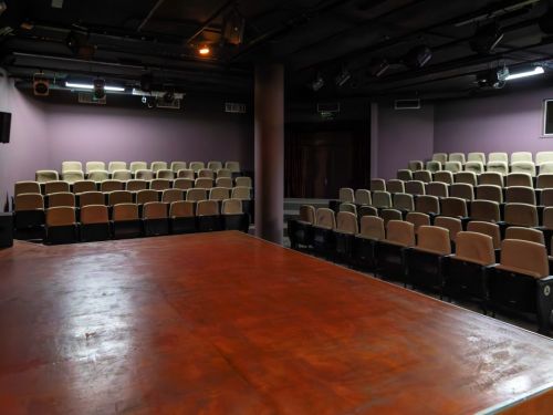 Foto tirada do palco, mostra o interior de um teatro vazio. O palco de madeira escura e brilhante ocupa o primeiro plano. A plateia tem várias fileiras de cadeiras bege, viradas para o palco. As paredes são em um tom de roxo claro e o local é pouco iluminado, com focos de luz no teto. Ao fundo, uma cortina vermelha e escura.