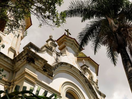 Foto tirada de baixo para cima da fachada da Paróquia Santa Teresa. A igreja é de cor clara, com vários andares de detalhes curvos e janelas em arco. O telhado de telhas vermelhas tem uma pequena cruz no topo. Uma grande palmeira com folhas escuras está no canto superior direito, e uma árvore com galhos e folhas pequenas está no canto esquerdo, fazendo uma moldura natural.