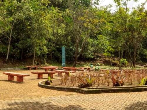 Uma área de descanso no Parque Serra do Curral. O local tem um pátio de tijolos claros com bancos de concreto de cor avermelhada. No centro, um canteiro circular com plantas baixas e uma placa alta e estreita. O ambiente é cercado por árvores altas e folhagem densa, com a luz do sol criando um efeito de luz e sombra no chão.