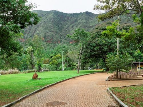 Um caminho de tijolos avermelhados que leva a uma área de grama verde no Parque Serra do Curral. Ao fundo, uma grande montanha se destaca, com as encostas de cor verde e partes de terra avermelhada. O local é cercado por árvores, e o céu está claro e nublado.