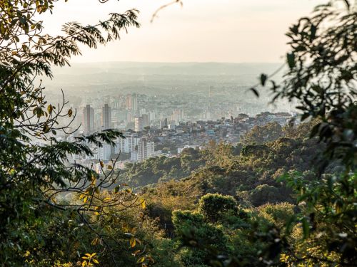 Vista panorâmica da cidade com diversos prédios altos ao fundo, parcialmente encobertos por árvores em primeiro plano. A imagem é captada de um ponto elevado, com vegetação densa na parte inferior e urbana ao fundo.