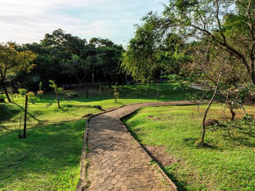 A imagem mostra um caminho pavimentado com blocos hexagonais em um parque. O caminho está cercado por grama e pequenas árvores com tutores. À esquerda e ao fundo, há árvores maiores. O céu está parcialmente nublado, com luz solar incidindo pela lateral esquerda da imagem. Há pedras espalhadas pelo gramado e uma via asfaltada visível ao fundo, entre as árvores.