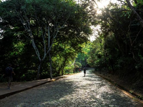 Caminho largo de pedras irregulares em meio a árvores altas e densas. O sol atravessa a copa, iluminando trechos do chão. Algumas pessoas caminham ao fundo e uma pessoa aparece à esquerda na lateral do caminho.