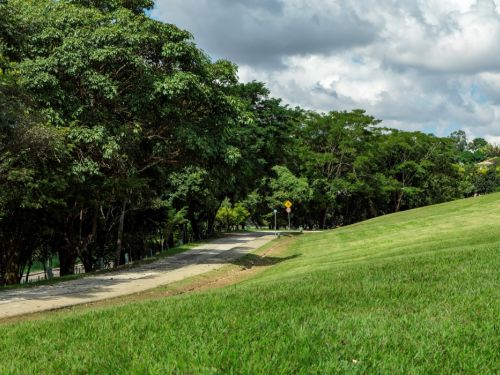 Um grande morro de grama verde, que ocupa a maior parte da imagem. Na parte de baixo, há um caminho sinuoso ladeado por árvores grandes com folhagem densa. O morro e as árvores contrastam com o céu, que está coberto por nuvens brancas e esparsas.