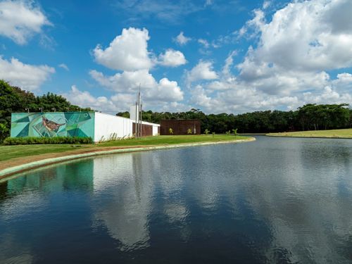 Um grande lago do Parque Ecológico, que reflete o céu azul com nuvens brancas e grandes. No fundo, há dois prédios modernos: um com um grande mural colorido de um pássaro e outro de cor escura. Os edifícios estão cercados por grama verde e árvores que se estendem pelo horizonte.