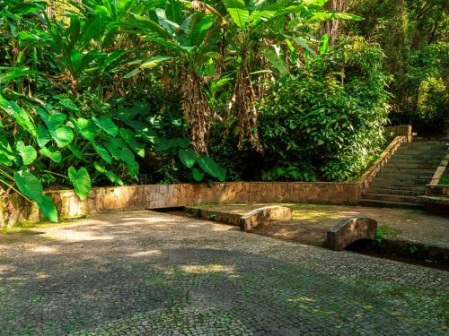 Caminho estreito pavimentado com pedras irregulares em tom acinzentado. O percurso é delimitado por muretas de pedra baixa, gastas e cobertas parcialmente por musgo. De ambos os lados crescem plantas de folhas largas e verdes. À direita, uma escada de pedra sobe entre a vegetação fechada, dando continuidade ao caminho.