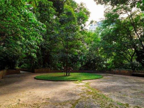 Área circular pavimentada com pedras em tom claro. No centro, gramado com uma árvore de médio porte, galhos finos e copa arredondada. Em volta, o espaço é cercado por muros baixos de pedra, parcialmente cobertos por musgo. Ao fundo, árvores altas e densas compõem o cenário.