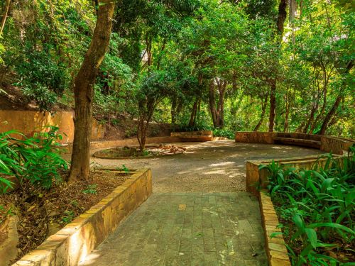 Caminho de pedras largas e irregulares segue em linha reta, ladeado por gramado e vegetação. Ao fundo, área circular pavimentada, delimitada por bancos de pedra curvos, fixos ao chão. No centro, há troncos cortados e pedaços de madeira sobre o piso. Árvores altas completam o entorno.