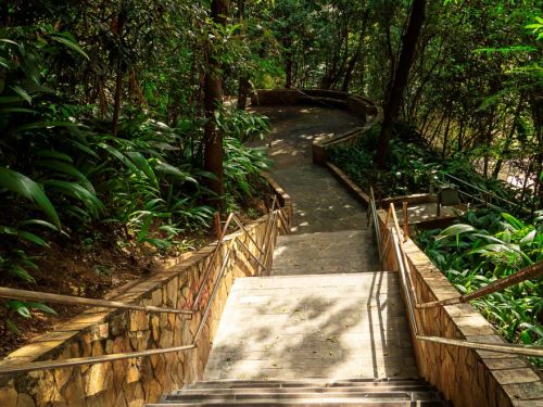 Escadaria larga de pedra, composta por degraus extensos e irregulares. Corrimões metálicos prateados acompanham os dois lados. As laterais e o entorno são preenchidos por vegetação densa, com árvores altas que projetam sombras sobre os degraus.