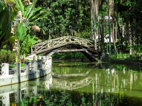 Uma ponte de madeira sobre um lago de águas verdes, que reflete a ponte e as árvores. A ponte tem um estilo rústico e um formato curvo. Ela liga uma margem de cimento a uma área de gramado e muitas árvores com folhagem densa, que cercam o local, criando um ambiente natural e tranquilo.