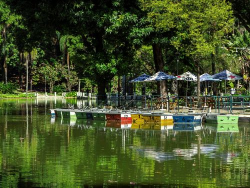 Barcos de pedal ancorados em um píer no lago do Parque Municipal. Uma fila de barcos coloridos (vermelho, laranja, amarelo, azul e verde) está na água. Eles têm pequenos guarda-sóis. O lago, de cor verde-escura, reflete a paisagem. A margem é cheia de árvores, com mesas e cadeiras visíveis sob guarda-sóis na beira da água.