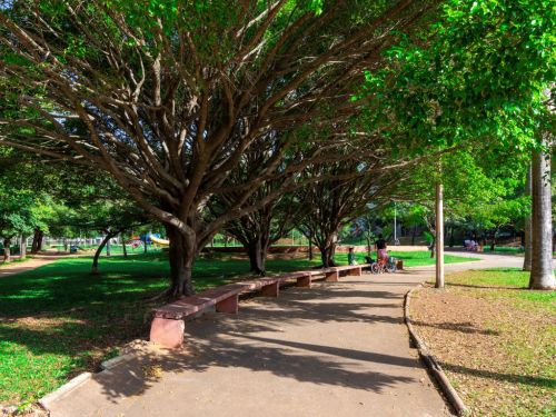 Um caminho de cimento no parque é ladeado por grandes árvores frondosas que formam um túnel natural, projetando sombras no chão. Bancos de concreto rosa estão dispostos sob as árvores. Ao fundo, áreas de gramado verde e mais vegetação. Pessoas andam de bicicleta pelo caminho.