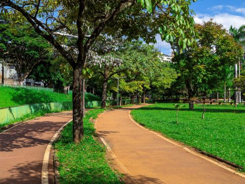 Uma pista de caminhada de cor terra batida serpenteia pelo parque. À direita, um amplo gramado verde e bem cuidado. À esquerda, um pequeno barranco gramado com uma cerca verde baixa. O parque é densamente arborizado, com árvores de copas cheias. Ao fundo, avistam-se prédios.