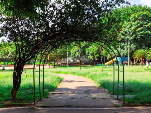 Um arco de metal verde, desgastado, forma um portal sobre um caminho de cimento que leva a um gramado. A grama ao redor é alta e verde. Ao fundo, o parque se abre com mais árvores, um escorregador amarelo e outras pessoas à distância, em um dia ensolarado.