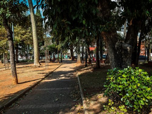 Alameda reta com piso de terra compactada e bordas de meio-fio. À esquerda, canteiros de solo exposto com árvores de troncos largos; à direita, faixa de gramado e arbustos. Bancos de madeira e metal ao longo do caminho. Pessoas sentadas ao fundo; carros entre as árvores.