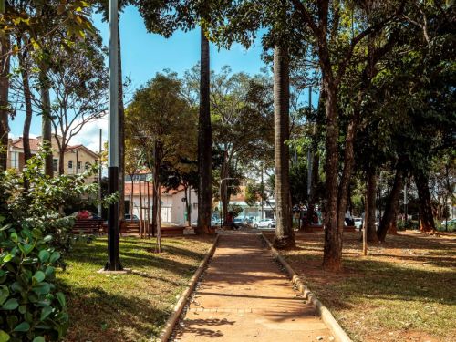 Caminho interno estreito de terra compactada, com meio-fio baixo dos dois lados. Postes de luz e árvores altas margeiam a via. Gramado à esquerda. Ao fundo, casas e carros na rua. Sombras das copas no piso.