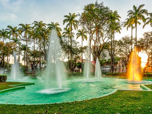 Fonte ampla em lago esverdeado com jatos de água em alturas variadas. Cercada por grama e árvores frondosas. Ao fundo, palmeiras imperiais em linha e prédios parcialmente visíveis. Sol poente ilumina as copas, criando reflexos dourados na água.