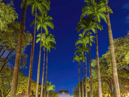 Alameda noturna de palmeiras imperiais altas que conduzem ao prédio histórico iluminado em tons amarelos. Chão de pedras simétricas reflete a luz dos postes verdes com luminárias arredondadas. Céu escuro reforça o contraste da iluminação cênica.