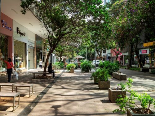 Calçadão arborizado com canteiros de concreto retangulares preenchidos por arbustos verdes e floridos. Pessoas caminham ou sentam em bancos de madeira. Fachadas de lojas estão à esquerda, prédios altos ao fundo.