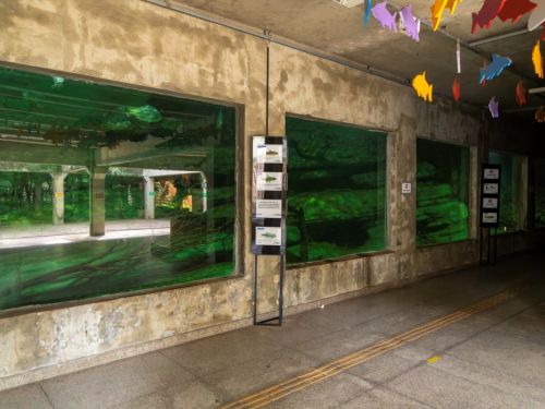 Corredor interno com grandes vitrines de aquários embutidos em parede de concreto rústico. A água esverdeada permite ver peixes e troncos. No teto, há silhuetas coloridas de animais suspensos.