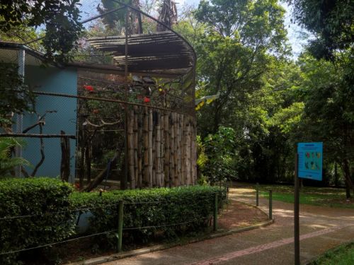 Uma área arborizada e bem cuidada do Zoológico de BH. À esquerda, há um viveiro circular com estrutura de bambu e tela, abrigando aves, como guarás vermelhos. Um caminho pavimentado com faixa tátil guia os visitantes, enquanto placas informativas indicam espécies presentes no local. Ao fundo, a vegetação densa compõe o ambiente natural e tranquilo do zoológico.