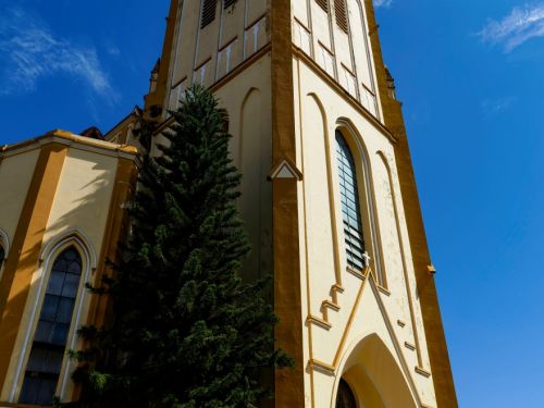 Fachada frontal da igreja com torre alta, portas de madeira e dois vasos com plantas. Uma árvore grande encosta na parede lateral, enquanto uma estátua branca aparece sob a sombra, ao lado da entrada.