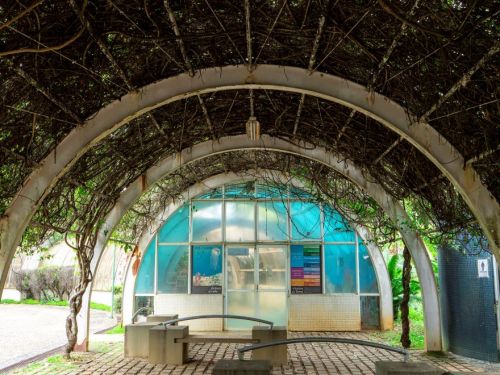 strutura metálica de pergolado coberta com galhos entrelaçados, formando uma sombra. Abaixo, bancos de concreto estão dispostos em círculo. Ao fundo, uma parede de vidro revela um ambiente interno com janelas e algumas placas visíveis.