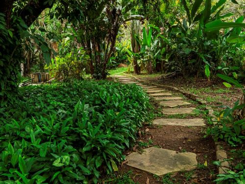 Trilho pavimentado com grandes pedras irregulares, serpenteando por uma área de vegetação densa. Árvores grandes e plantas tropicais criam sombra ao longo do caminho. O solo é coberto por gramado e folhas, dando uma sensação de frescor.