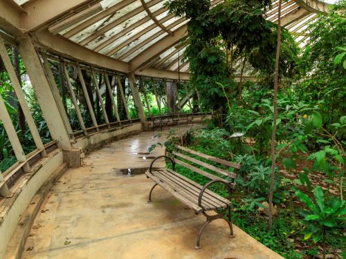 Esta imagem mostra um banco de metal em um ambiente fechado, cercado por vegetação densa. O espaço possui uma estrutura de vidro no teto, mas a área está um pouco envelhecida, com sinais de desgaste e sujeira nas janelas.