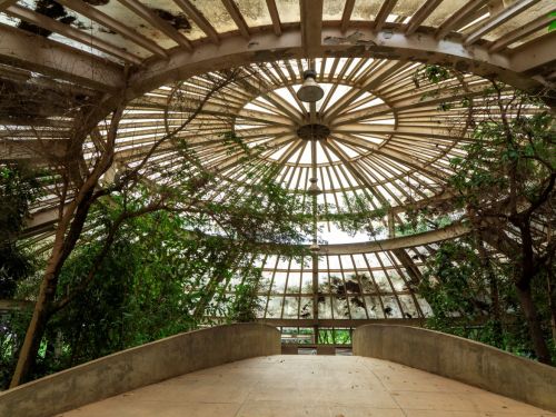 A imagem mostra o interior de uma estrutura circular com o teto de vidro, onde várias plantas estão crescendo dentro do espaço.