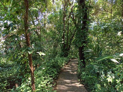 Parque Ecológico e de Lazer do Bairro Caiçara
