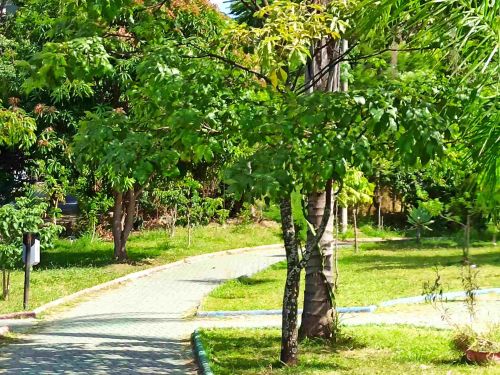 Parque Ecológico Padre Alfredo Sabetta