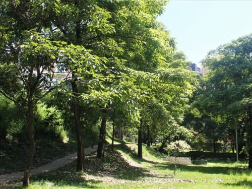 Área do Vertedouro da Barragem Santa Lúcia