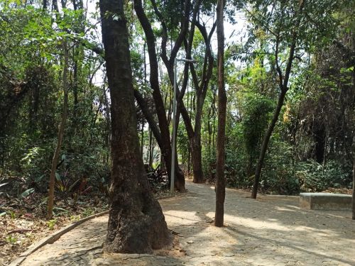 Parque da Matinha 