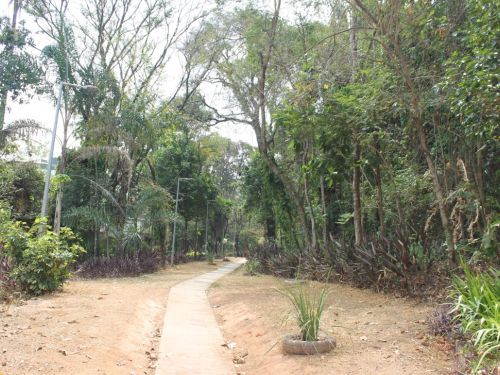 Parque da Matinha 